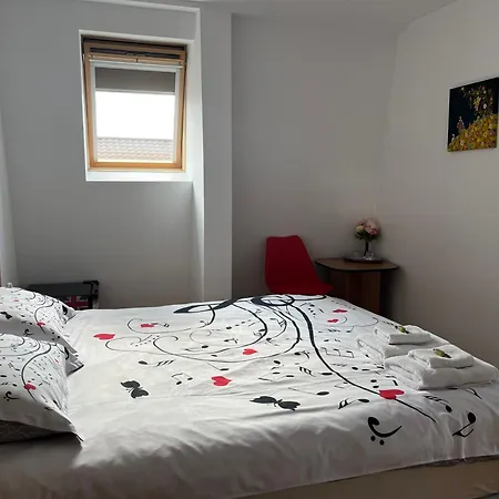 Casa Andreea 3* Vatra Dornei